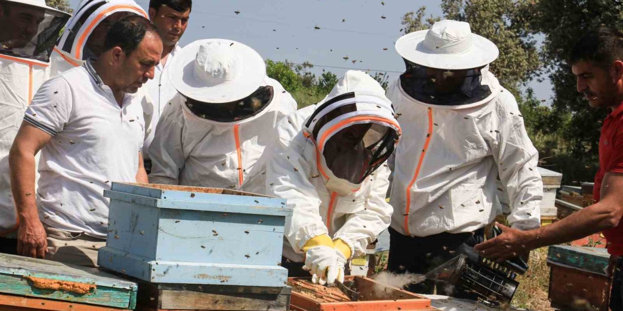 Mersin’de ’narenciye Balı Hasat Şenliği’ Düzenlendi