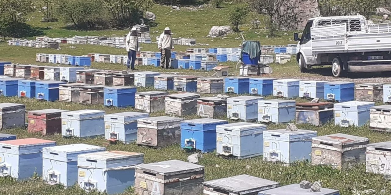 Hakkari’de Bal Üretim Sezonu Başladı