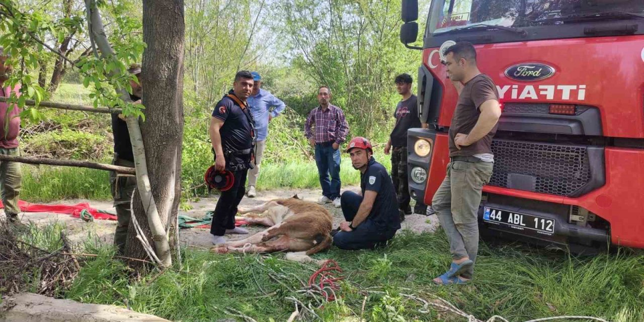 Kuyuya Düşen İneği İtfaiye Kurtardı