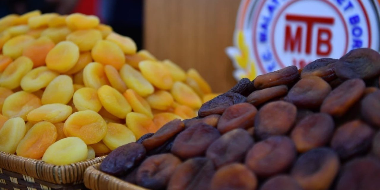 Kayısı İhracatı Hız Kesmiyor