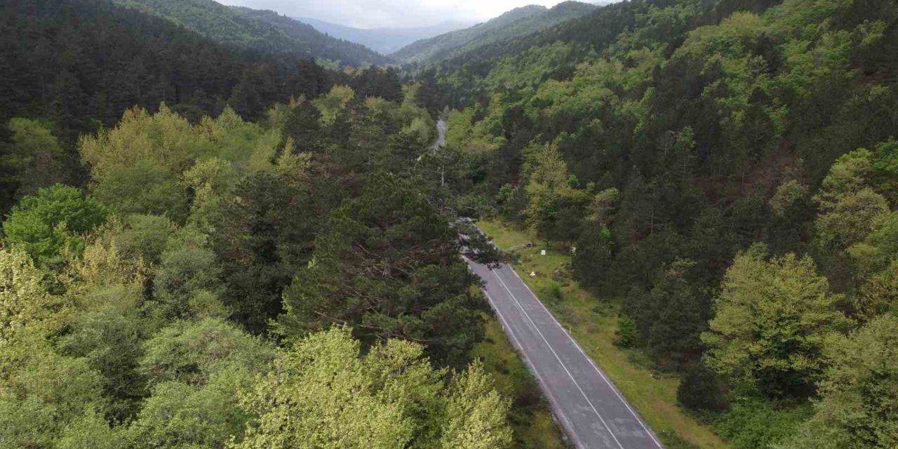 Kazdağları Bahar İle Birlikte Yeşilin Binbir Tonuna Büründü