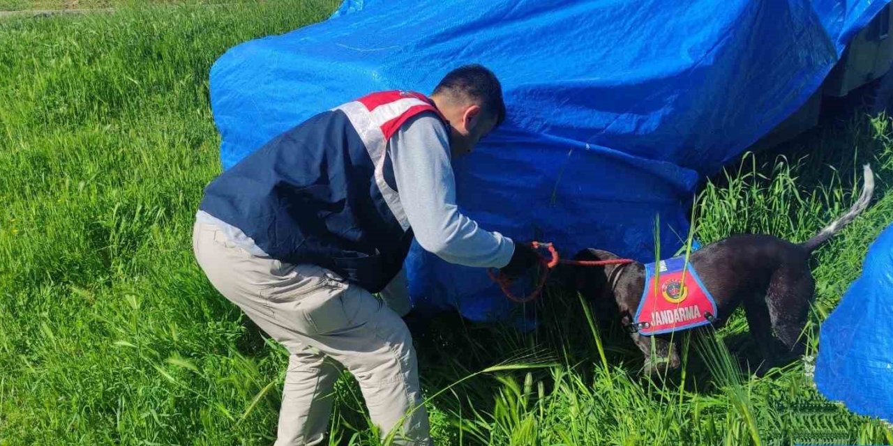 Şanlıurfa’da Silah Kaçakçılarına Operasyon: 3 Gözaltı