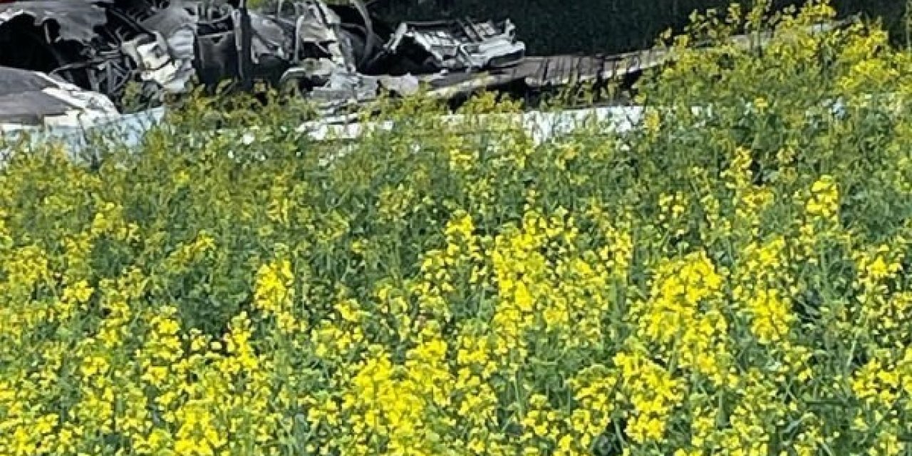 Rusya’da Tu-22m3 Bombardıman Uçağı Düştü