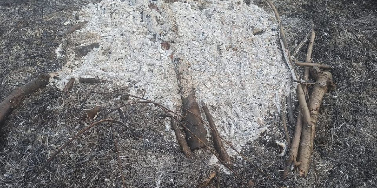 Küçük Bir Dikkatsizlik Sonucu Çıkan Orman Yangını Korkuttu
