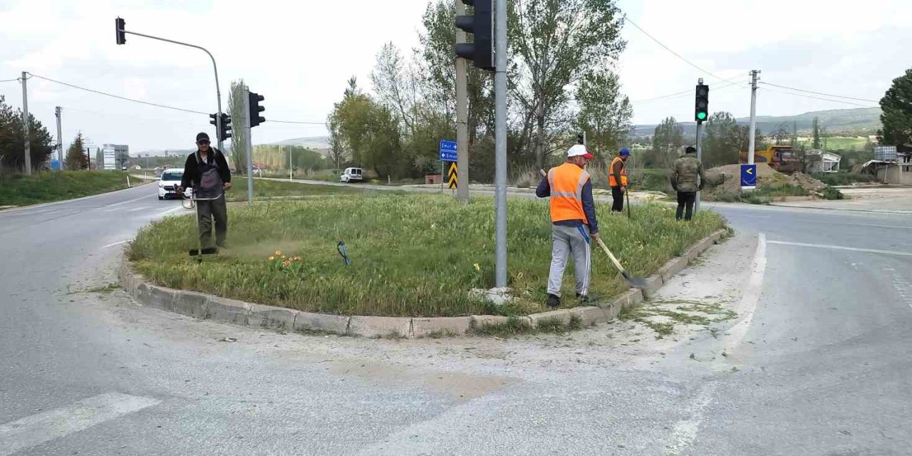 Hisarcık’ta Yabani Ot Biçme Çalışması