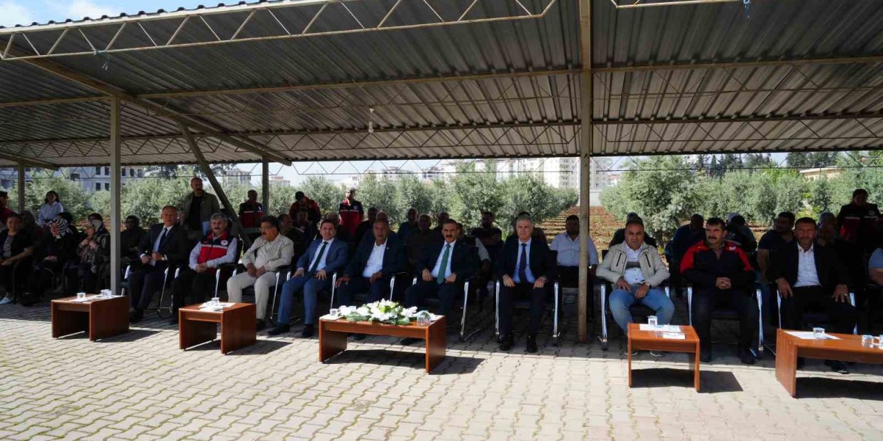 Kilisli Çiftçilere 650 Bin Adet Fide Dağıtımı Yapıldı