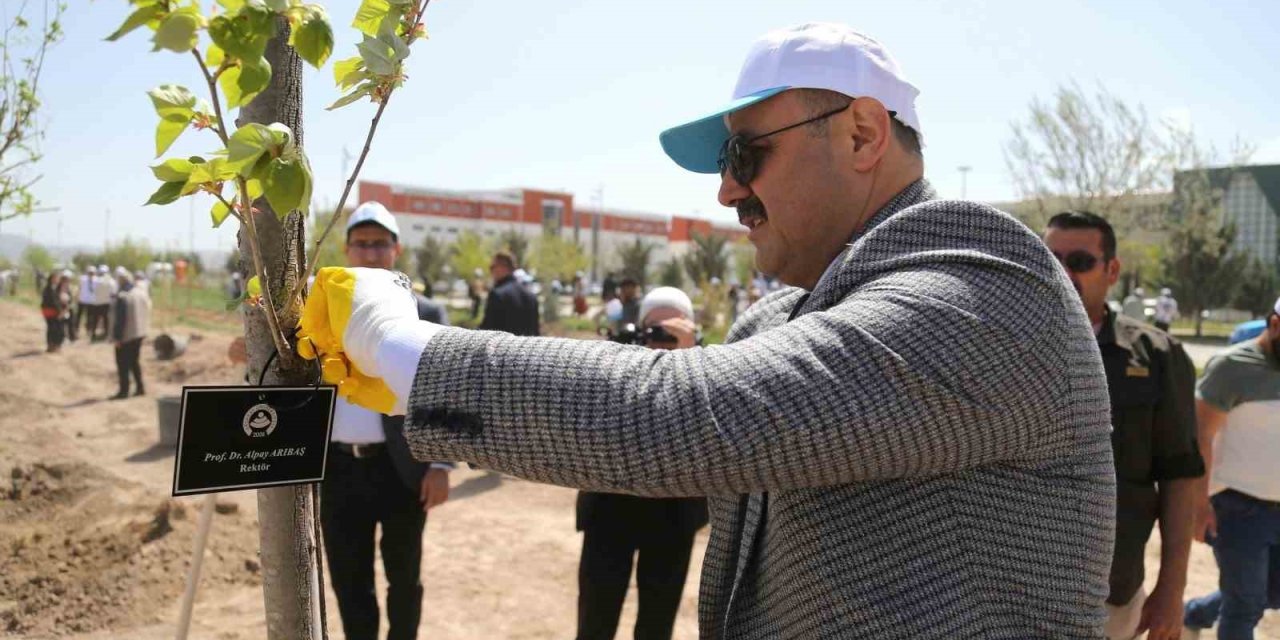 Asü’de 12 Dönümlük Alana Farklı Türde 350 Adet Fidan Dikildi