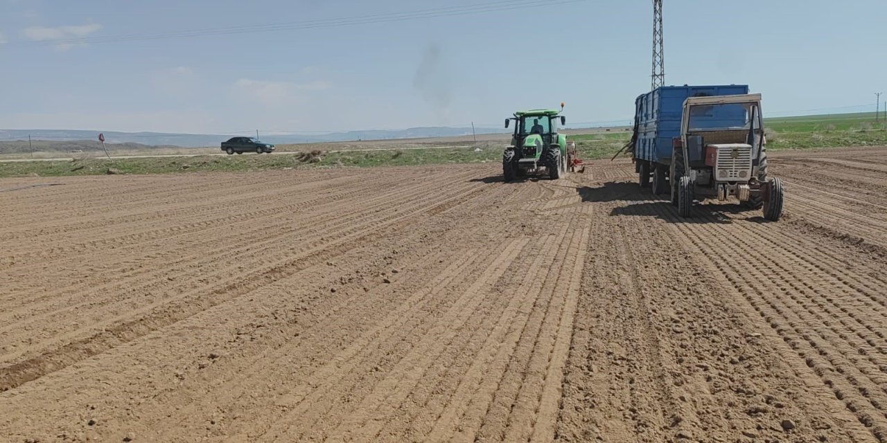 Adilcevaz’da Şeker Pancarı Ekimine Başlandı