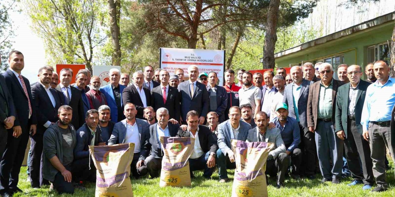Muşlu Çiftçilere 100 Ton Korunga Tohumu Dağıtıldı