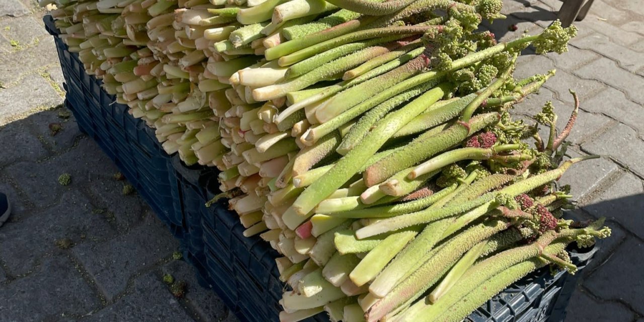 Uçkun Tezgahlardaki Yerini Aldı