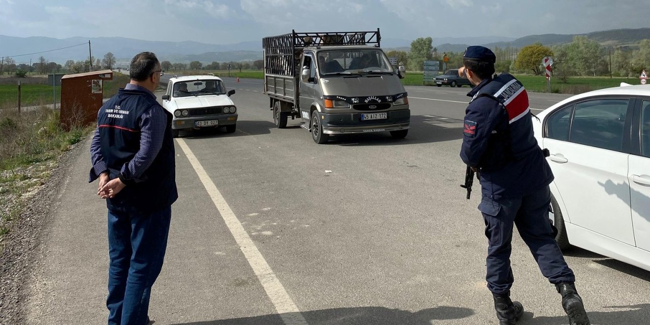 Emet’te Hayvan Hareketleri Yol Kontrolleri