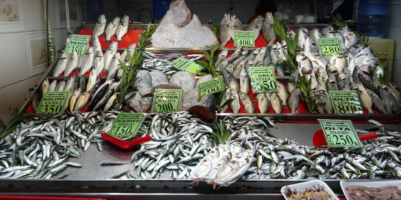 Av Yasağı Başladı, Balık Fiyatları Arttı
