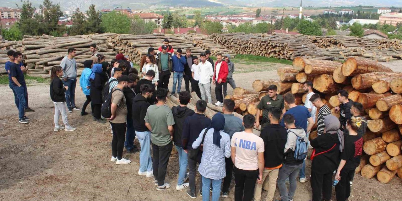 Öğrencilere Vezirköprü Ormanlarında Eğitim