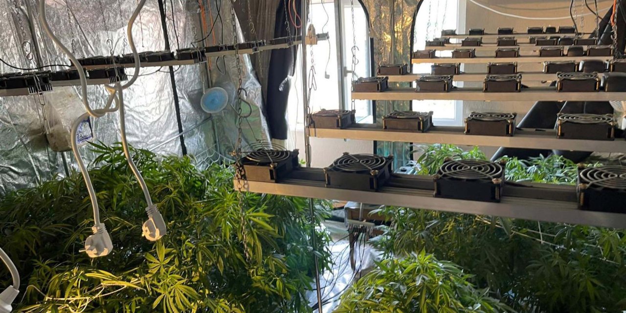 Evinde Havalandırma Sistemli Sera Kurup Hint Keneviri Yetiştiren Şüpheli Tutuklandı