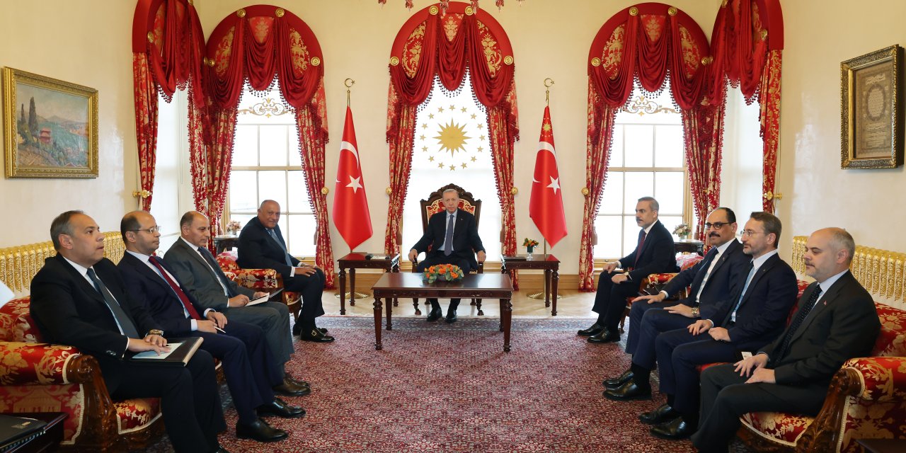İstanbul- Cumhurbaşkanı Erdoğan Mısır Dışişleri Bakanı Sameh Shoukry'i Kabul Etti