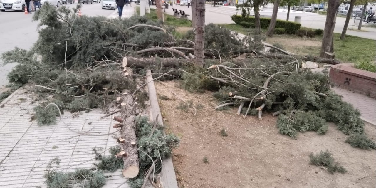 Çorum'da Fırtına; Ağaçlar Devrildi, Cami Minaresindeki Kalas Uçtu: 1 Yaralı