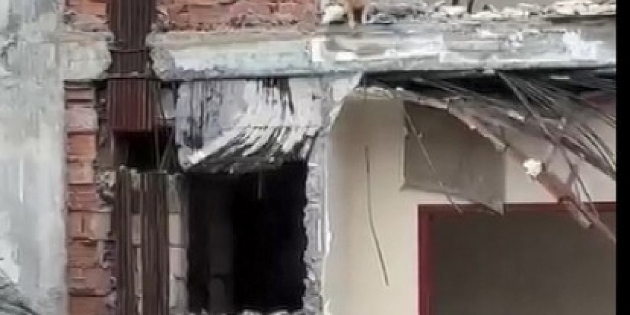 İstanbul - Gayreppe'deki "1.şube" Binasının Yıkımı Sırasında İçeri Giren Kedi Kurtarıldı