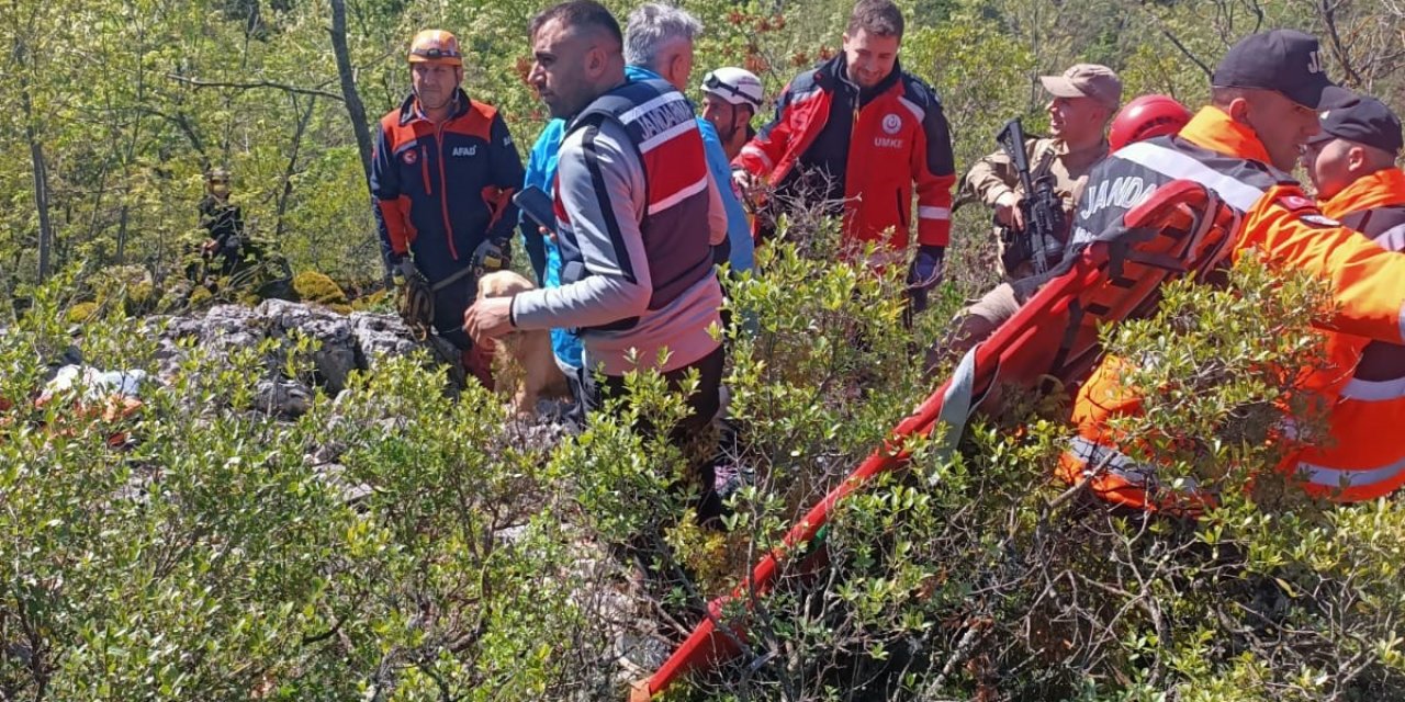 85 Yaşındaki Kayıp Alzheimer Hastası Kadın, 54 Saat Sonra Ölü Bulundu
