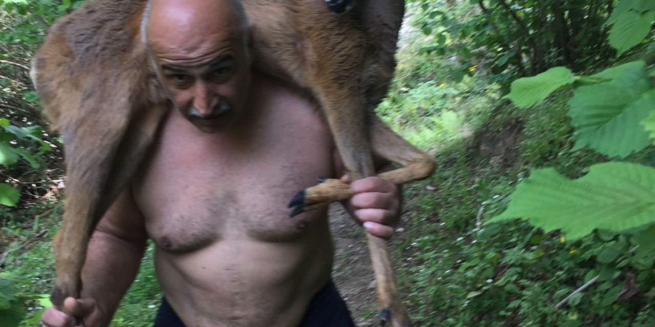 Derede Yaralı Halde Bulunan Geyik Omuzda Taşındı