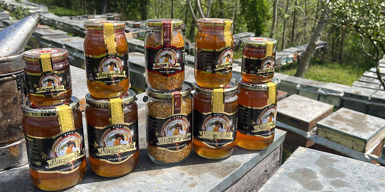 Anzer balı üretimi yapan arıcılar yeni sezondan ümitli