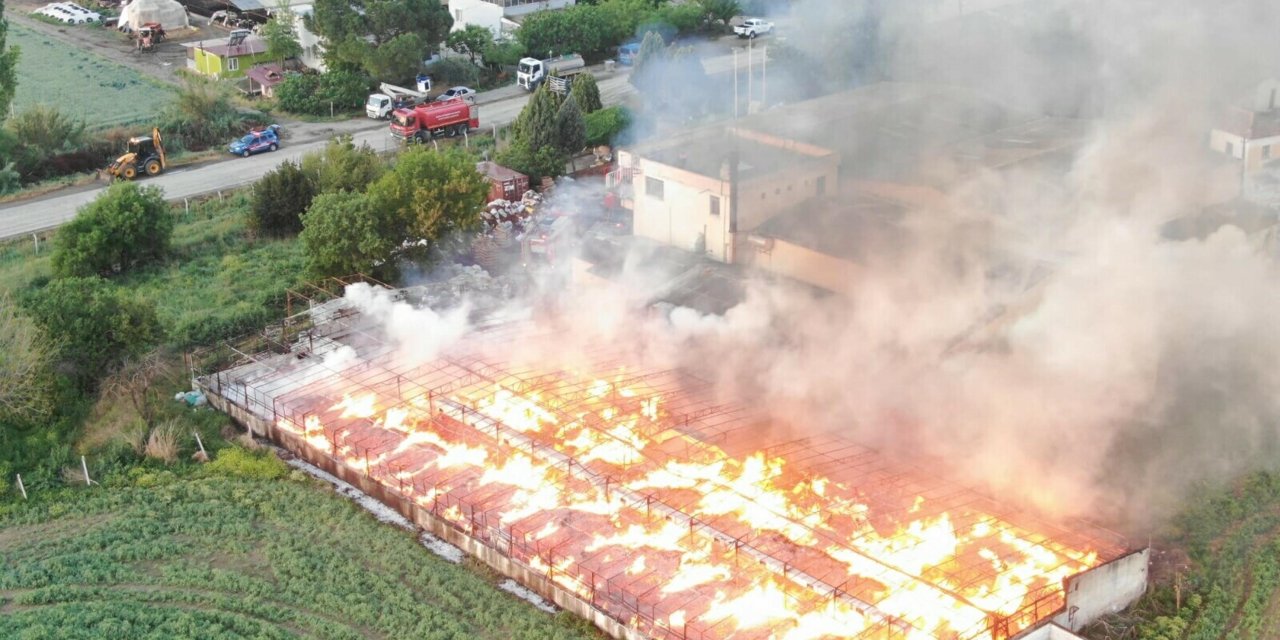 Depodaki Yangında 160 Ton Kozalak Küle Döndü