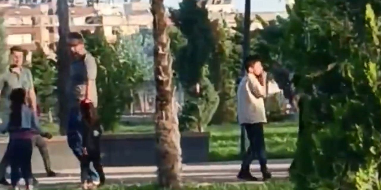 Parktaki Ağacı Yakmaya Kalkıştı