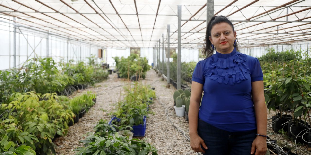 İklim Değişti, Kahve Bitkisi Meyve Vermeye Hazırlanıyor
