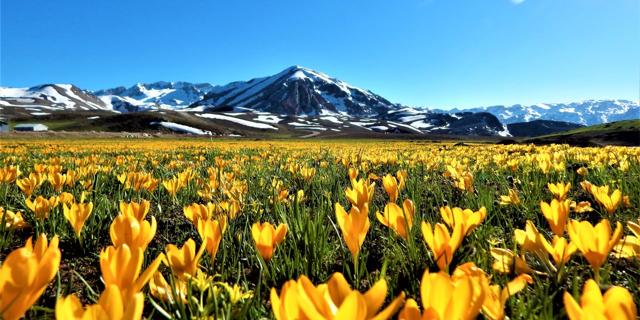 Eğrigöl'de Bahar Güzelliği