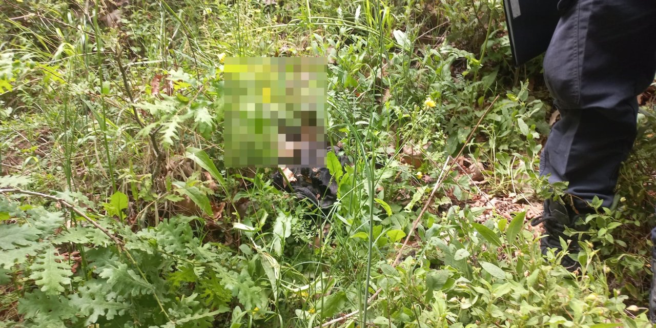 312 Gündür Haber Alınamayan Korhan Berzeg'in Kimlik Ve Kredi Kartı İle Kemik Parçaları Bulundu