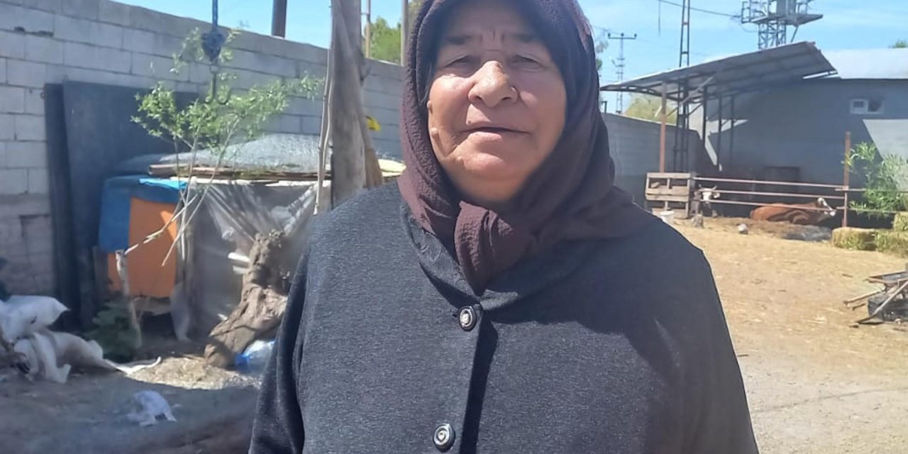 Sözde Soykırım İddialarına Ermenistan Sınırındaki Şehitlikten Cevap Verdiler