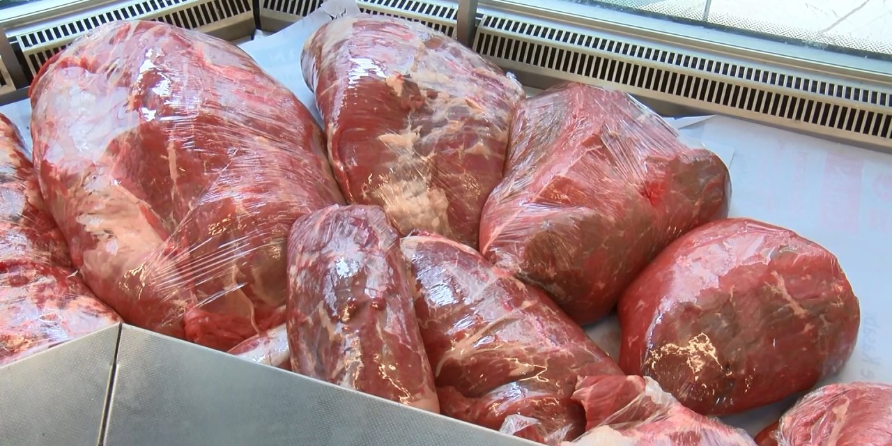 İstanbul - İstanbul Kanatsız Kaldı