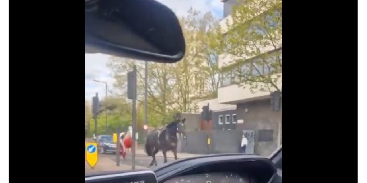 Süvari Atları Londra’nın Caddelerine Kaçtı, Atlar Dahil Yaralılar Var