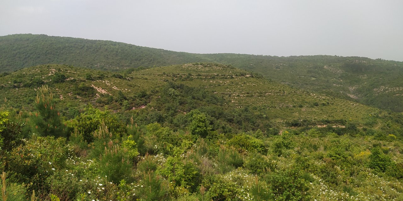 Korhan Berzeg’in Kızından Dna Örneği Alınacak; Hayvanların Cesedi Parçalamış Olma İhtimali Üzerinde Duruluyor (4)
