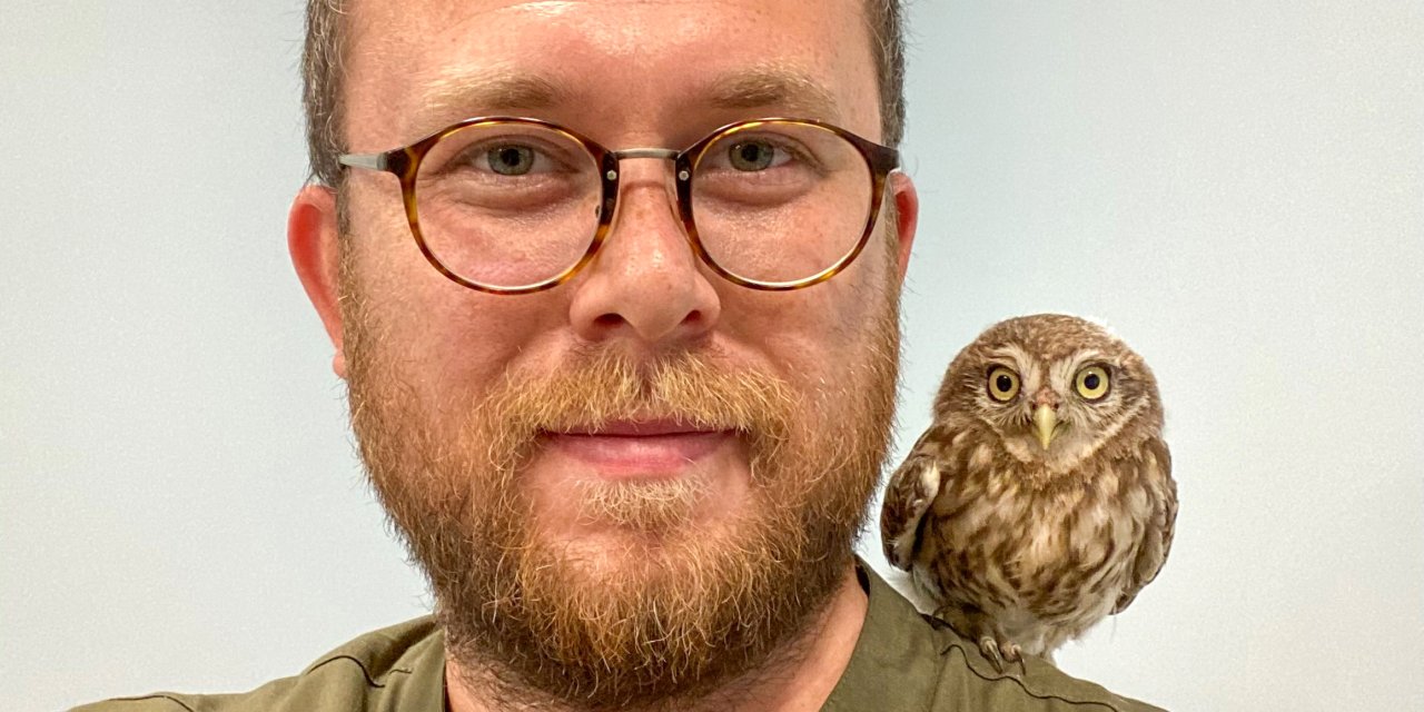 255 Kuşun Tedavisini Yapıp, Doğaya Geri Döndürdü