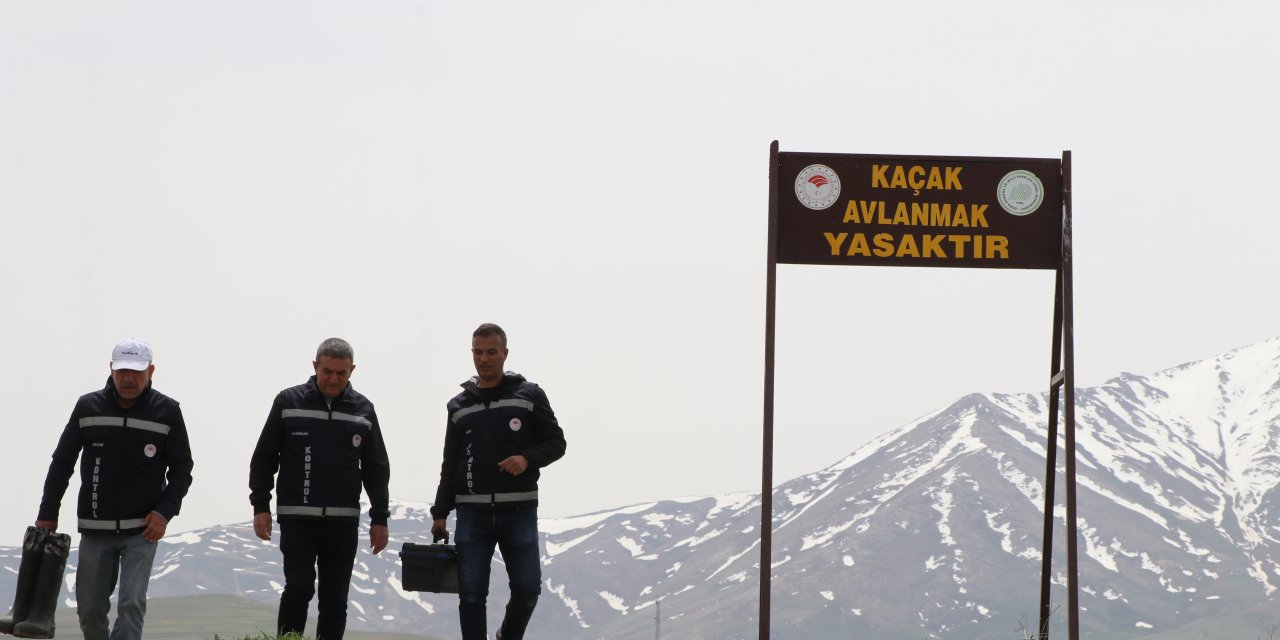 Üreme Göçü Öncesi İnci Kefaline Sıkı Denetim
