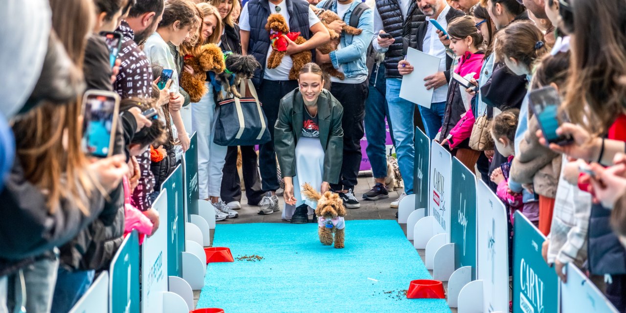 Sokak Hayvanları İçin Patifest Etkinliği Düzenlendi
