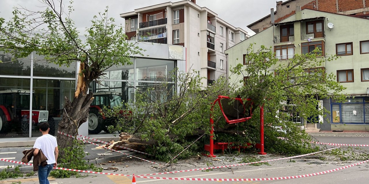 Kuvvetli Rüzgarda Ağaç Durağın Üzerine Devrildi