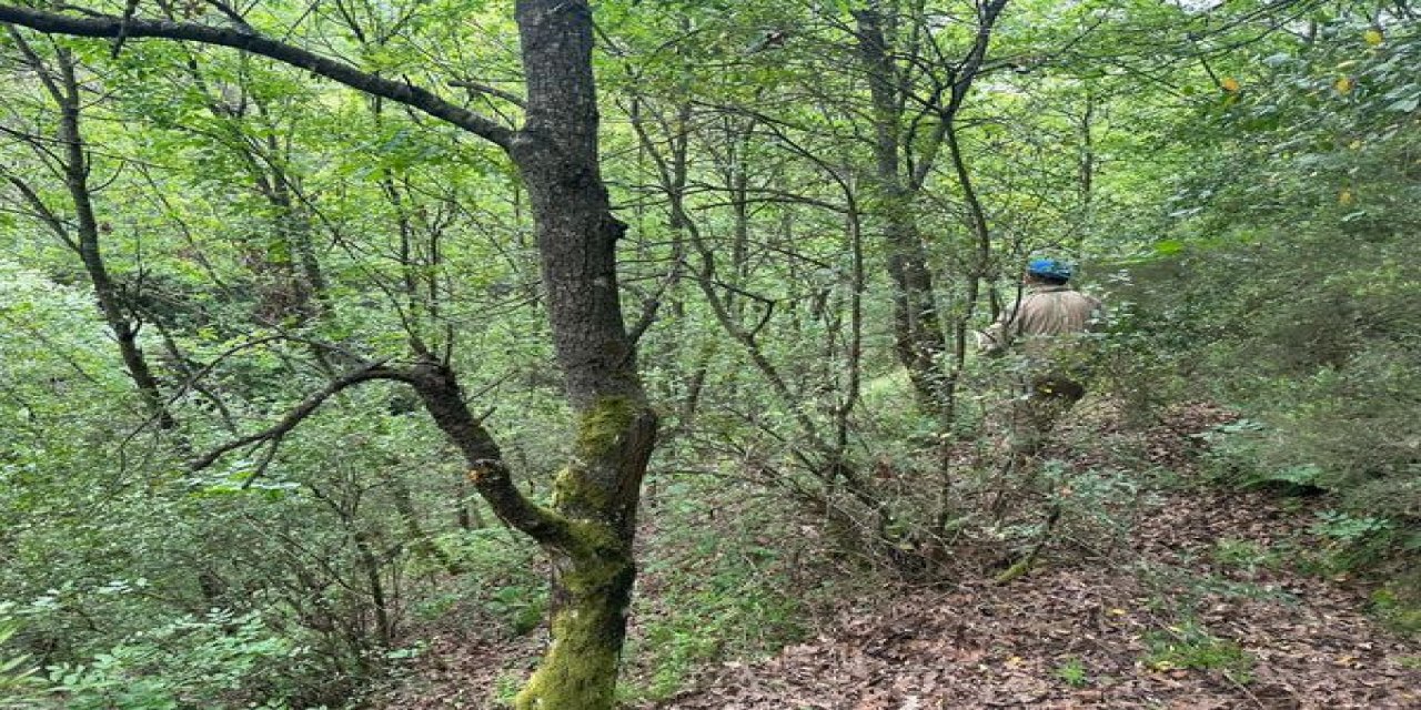 Korhan Berzeg’i Arama Çalışmaları 314’üncü Günde Sürdürülüyor; Kemik Parçaları Toprağın Altında Da Aranıyor (3)