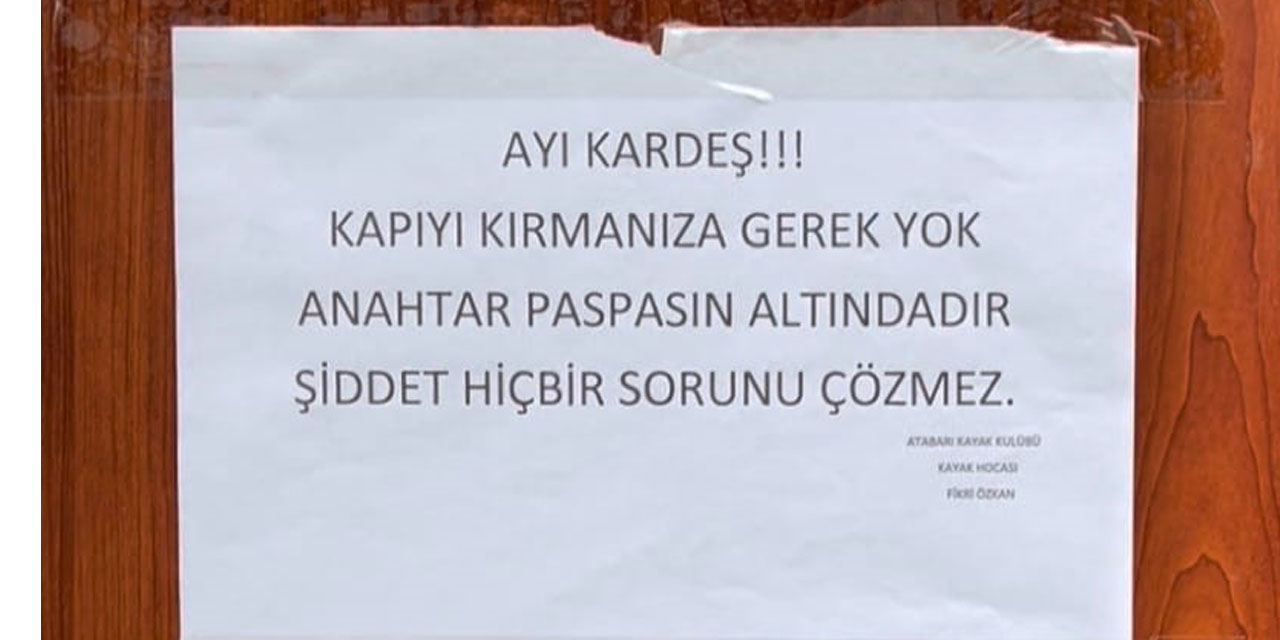 Ayı saldırılarından bıktı, çareyi ayıya not yazmakta buldu