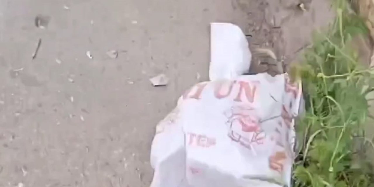 Çuvala Koyulup Atılan Kedi, Kurtarıldı