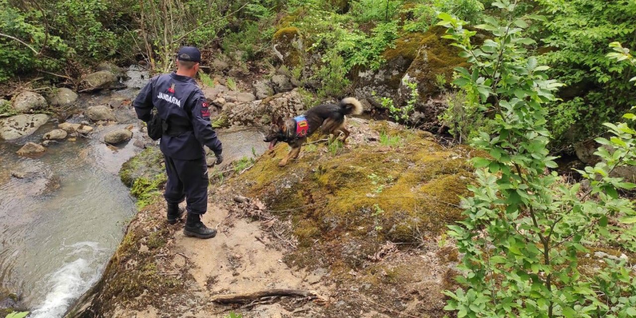 Korhan Berzeg’i Arama Çalışmaları 315’inci Günde Sürdürülüyor; Eğitimli Köpek Sayısı Artırıldı (3)