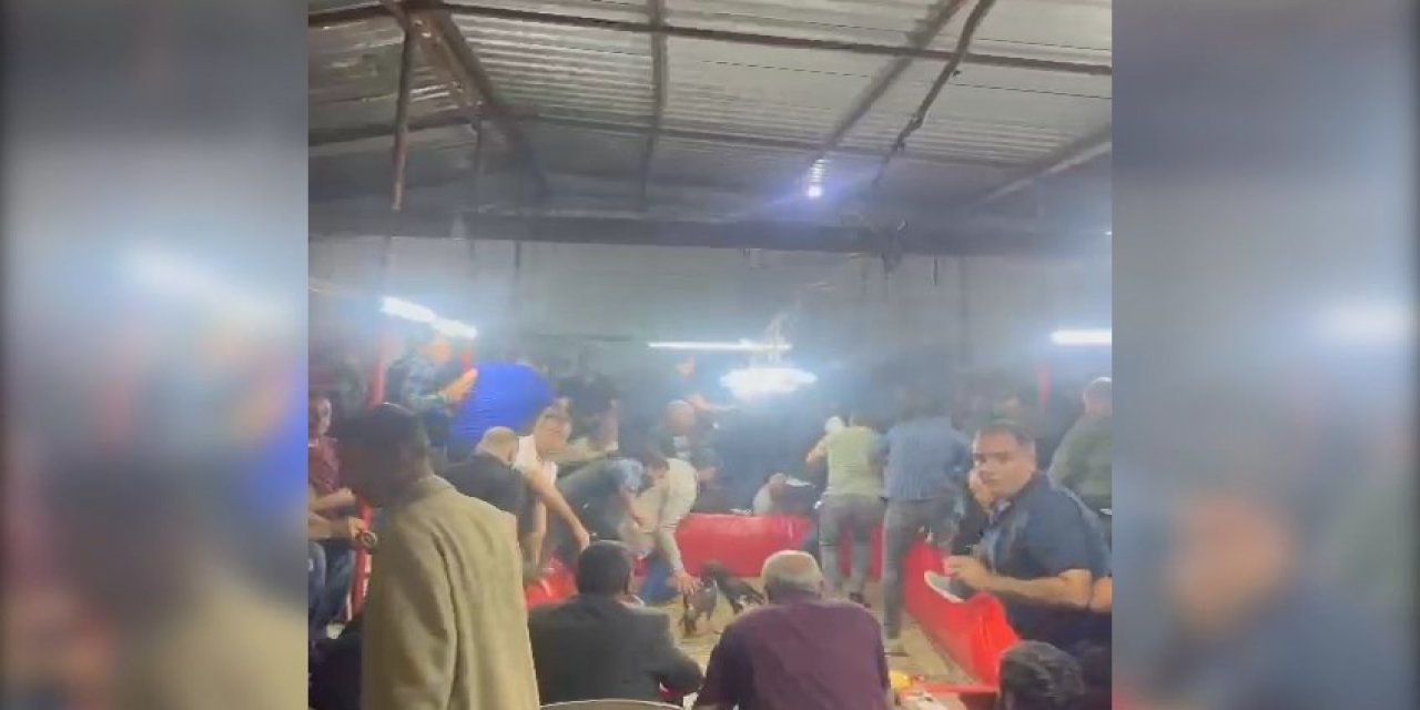 Şanlıurfa'da Horoz Dövüşüne Suçüstü