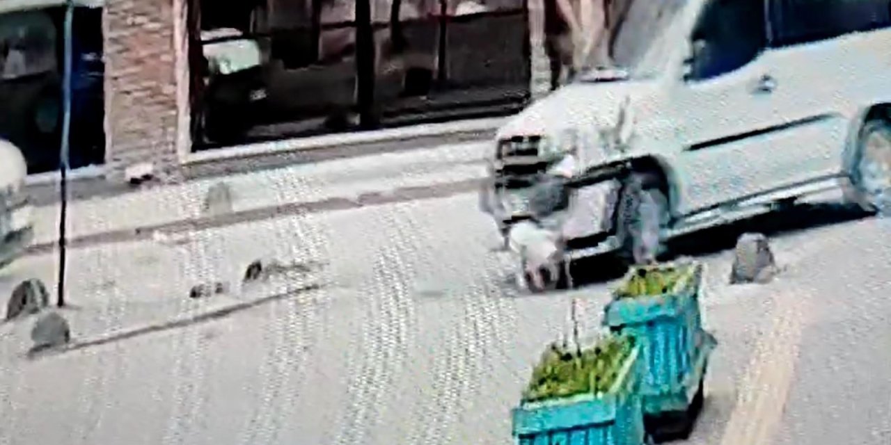 Ters Yönde Giden Hafif Ticari Aracın Köpeğe Çarptığı Kaza Kamerada