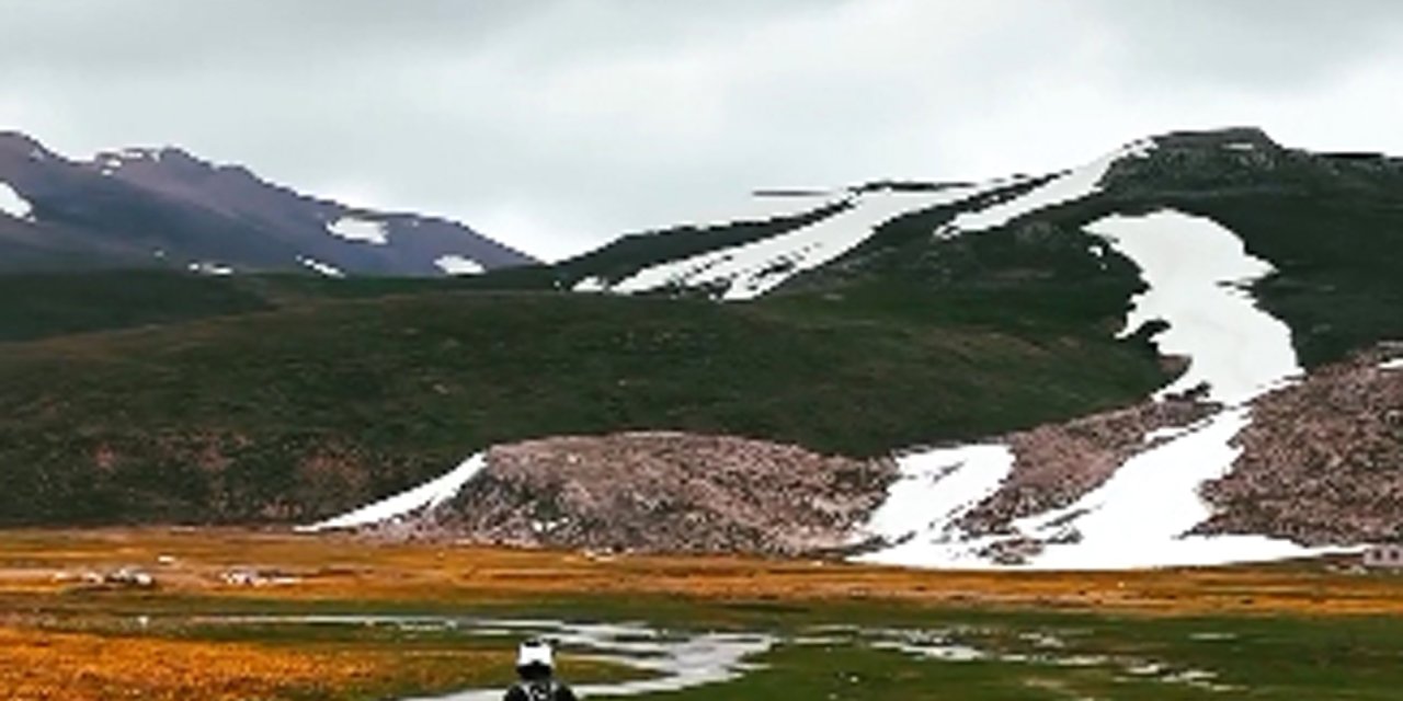 Endemik Çiçekleri Motosikletle Ezdiler