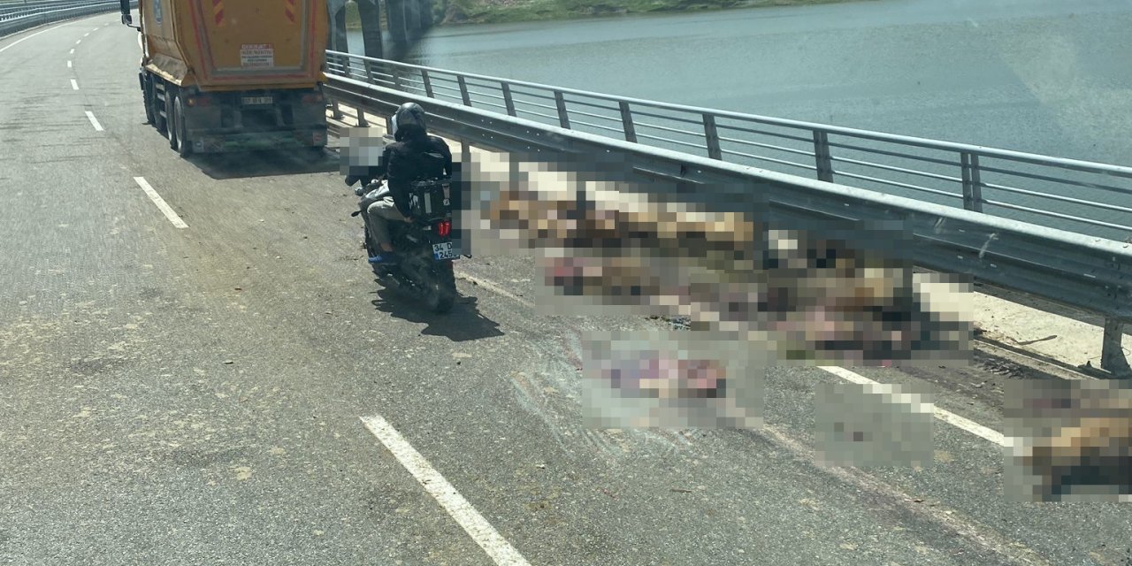 Batman’da Hafriyat Kamyonunun Çarptığı Sürüdeki 28 Koyun Öldü