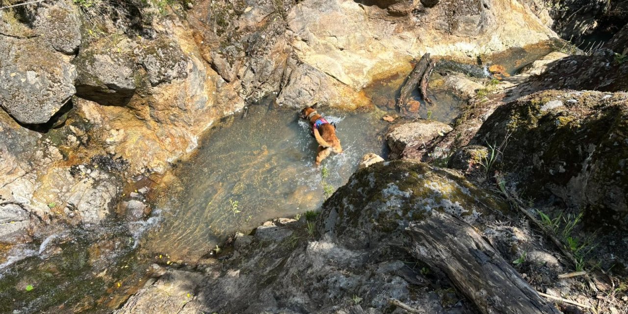 Korhan Berzeg'in Kafatasına Ait Olduğu Değerlendirilen Parça Bulundu