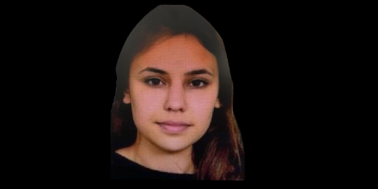 Kamyonetin çarptığı üniversite öğrencisi hayatını kaybetti