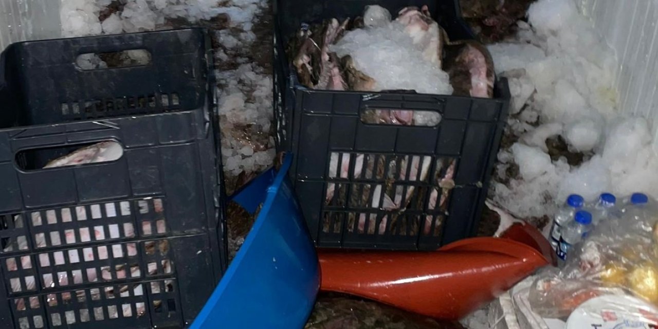 Ukrayna Sularında Kaçak Balık Avlayanlara 749 Bin Tl Ceza