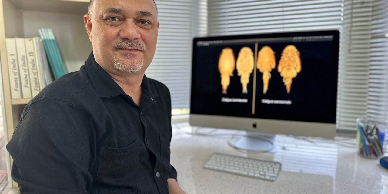 İzmir Ve Saros Körfezlerinde Kafes Balıkçılığına Tehdit 2 Yeni Parazit Keşfedildi