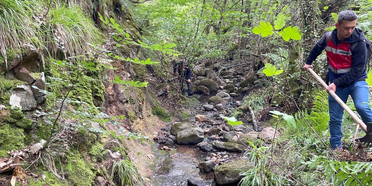 Korhan Berzeg'in Kayıp Kemikleri, 3 Kadavra Arama Köpeği Ve 62 Personel İle Aranıyor (2)